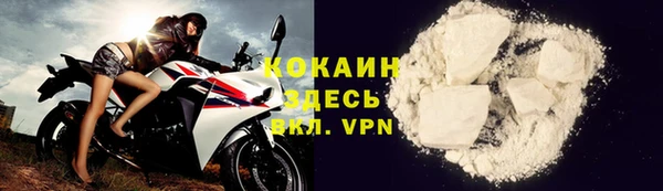 spice Алзамай