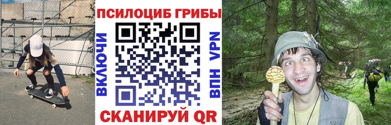 Галлюциногенные грибы Psilocybe  Брюховецкая 